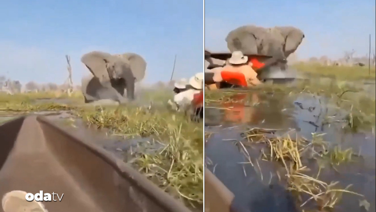 Fil saldırısı kameraya yansıdı