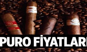 Puro Fiyatlari 1024x622nxJ.jpg