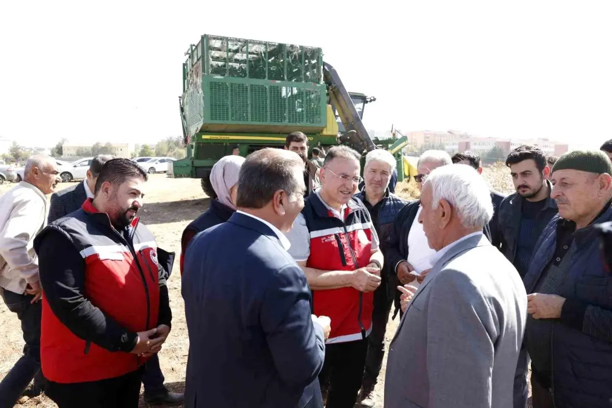 bismilde pamuk hasat sezonu basladi zIQpYXv6.jpg