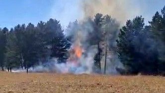 sarikamista orman yangini dKUk3eVd.jpg