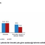 tuikten 2025 bitkisel uretim tahminleri azalma bekleniyor SbxJN7Wf.jpg