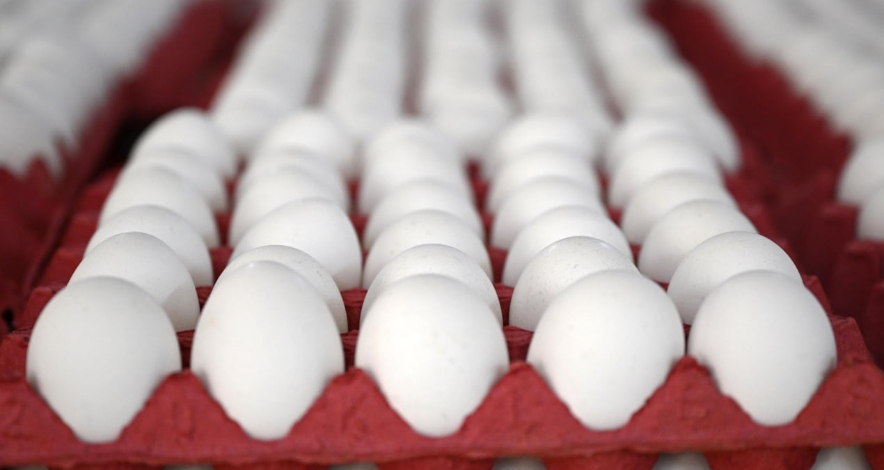 yumurtaya zam gelecek mi en yetkili isim acikladi ZyxeXtze.jpg