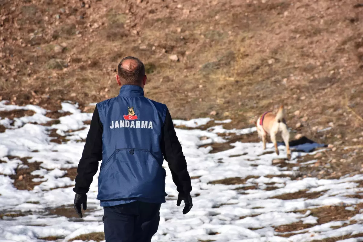 Sivas’ta 8 Gündür Kaybolan Musa Uygun İçin Arama Çalışmaları Devam Ediyor