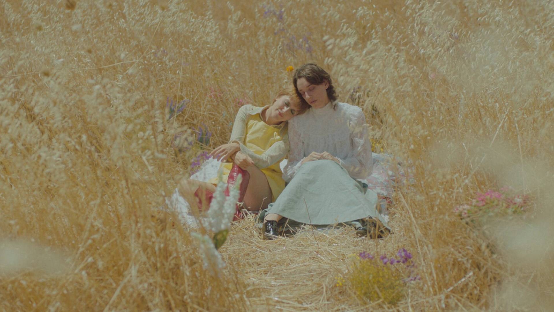 Yunanistan Sineması Günleri, 2-7 Aralık’ta sinemaseverlerle buluşacak