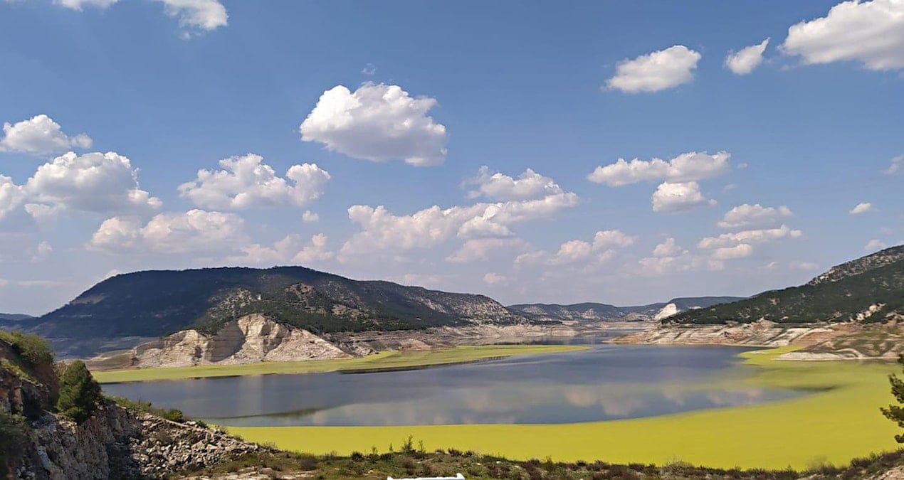 Adıgüzel can çekişiyor! Göl yüzeyi yeşil alglerle kaplandı