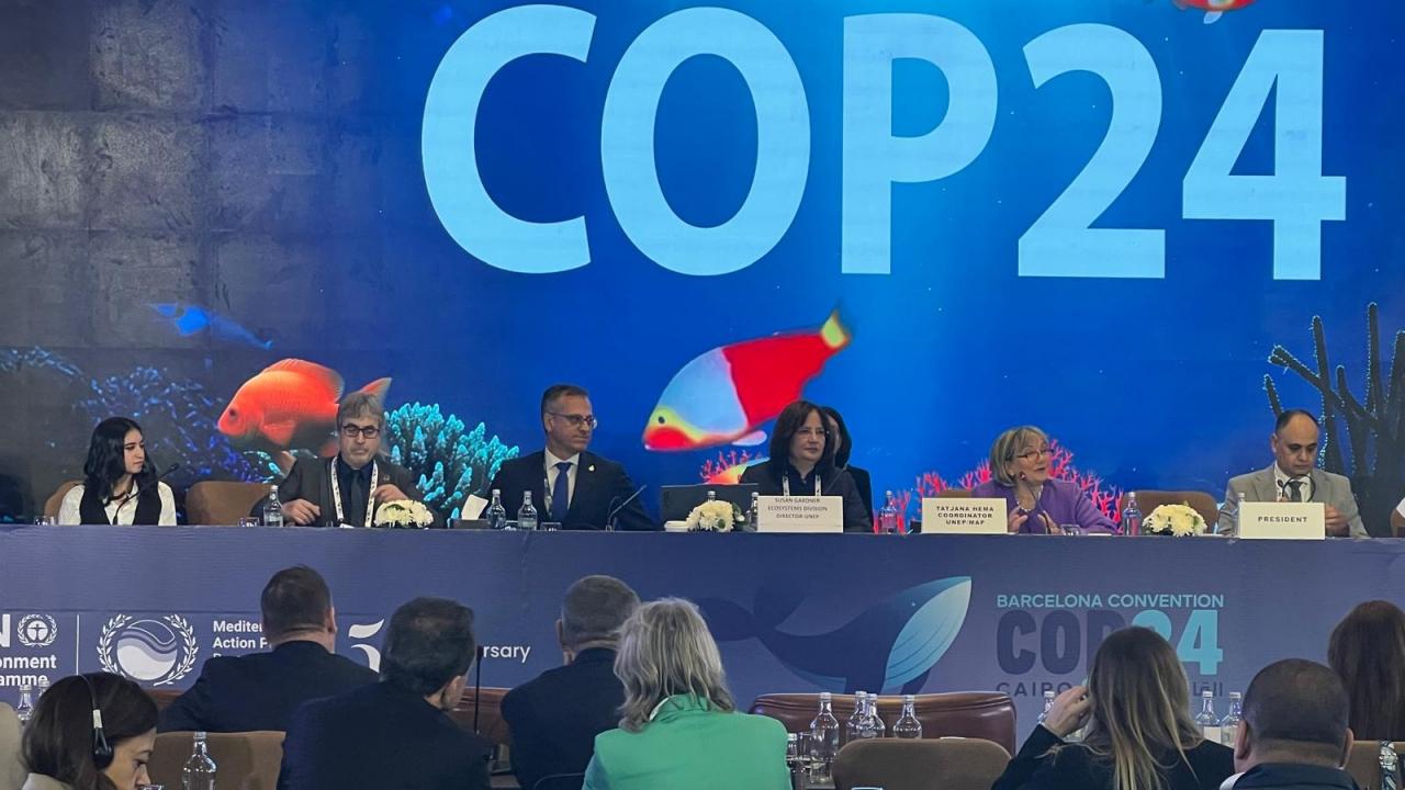 Akdeniz Bölgesel İklim Değişikliği Merkezi 2026’da İstanbul’da faaliyete geçecek