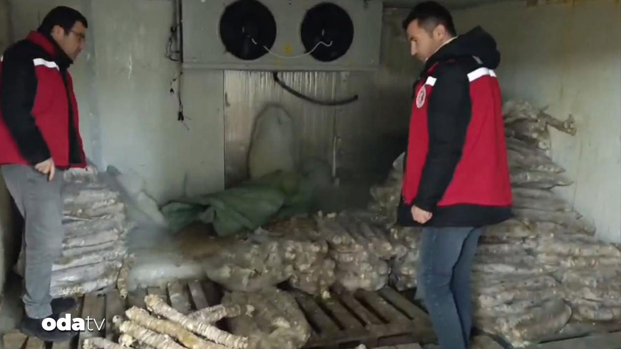 Manisa’da mide bulandıran görüntü