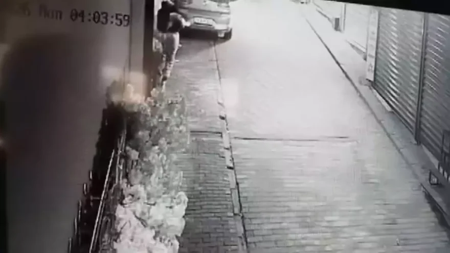 Bursa’da İlginç Hırsızlık Olayı: Süs Ağacı Gasp Edildi