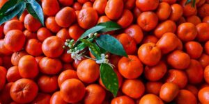 iraka-62-bin-403-ton-gonderildi-uc-ayda-1461-milyon-dolar-kazandirdi-hb4njCHK