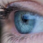 Mavi Gözlerin Ortak Atası: Türkiye’nin Rolü ve Genetik Araştırmalar