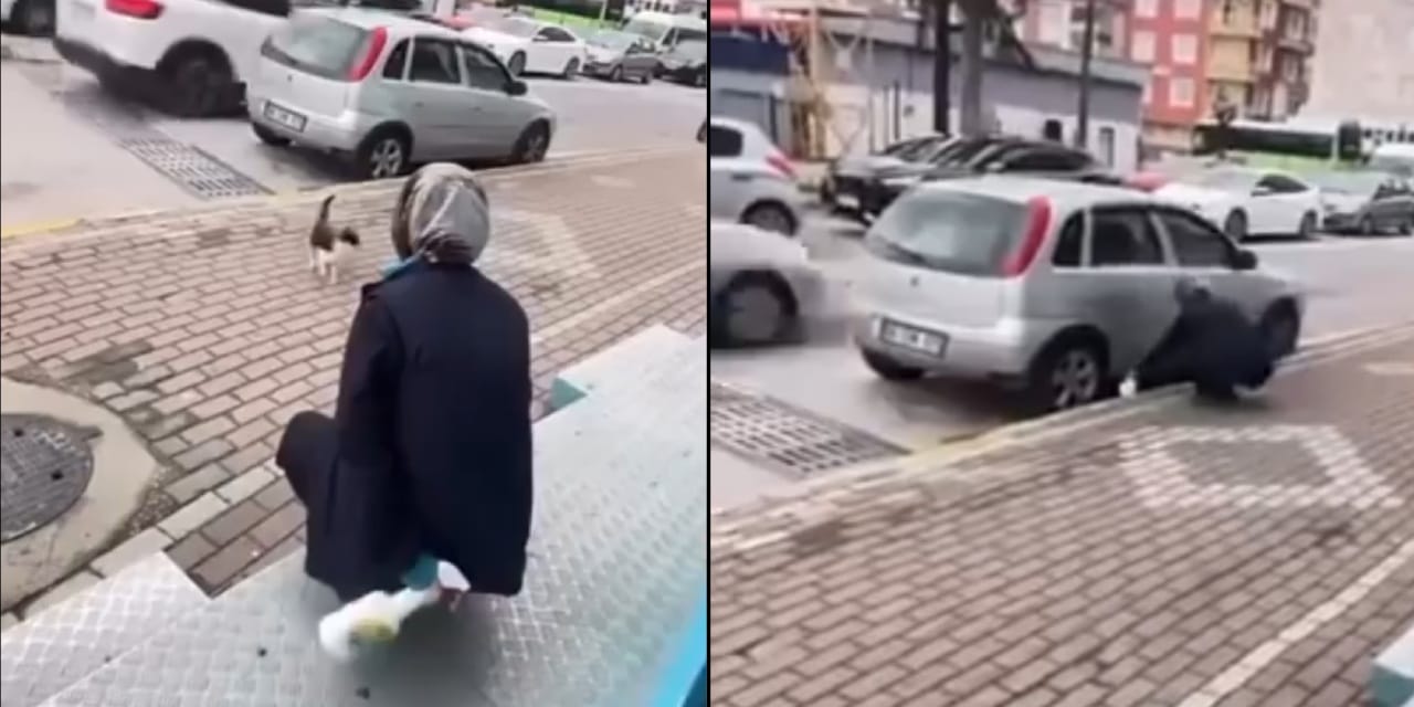 Kediye Yağ Çözücü Sıkan Kadın Gözaltına Alındı